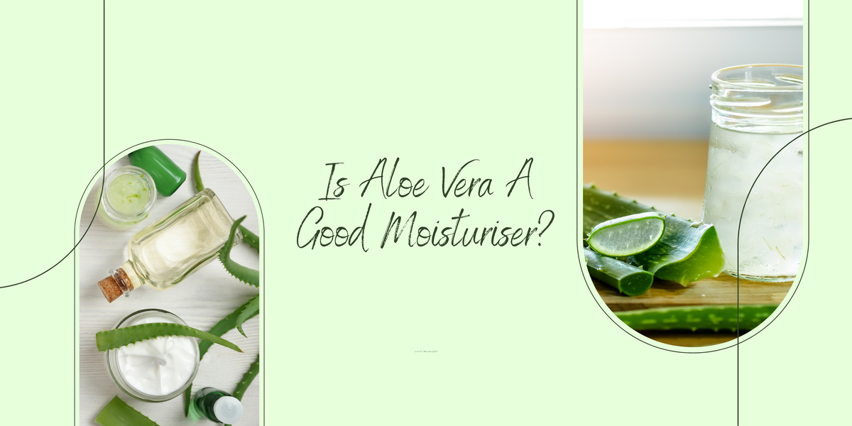 Is Aloe Vera A Good Moisturizer?  Threebs Malaysia | Health & Beauty  Products